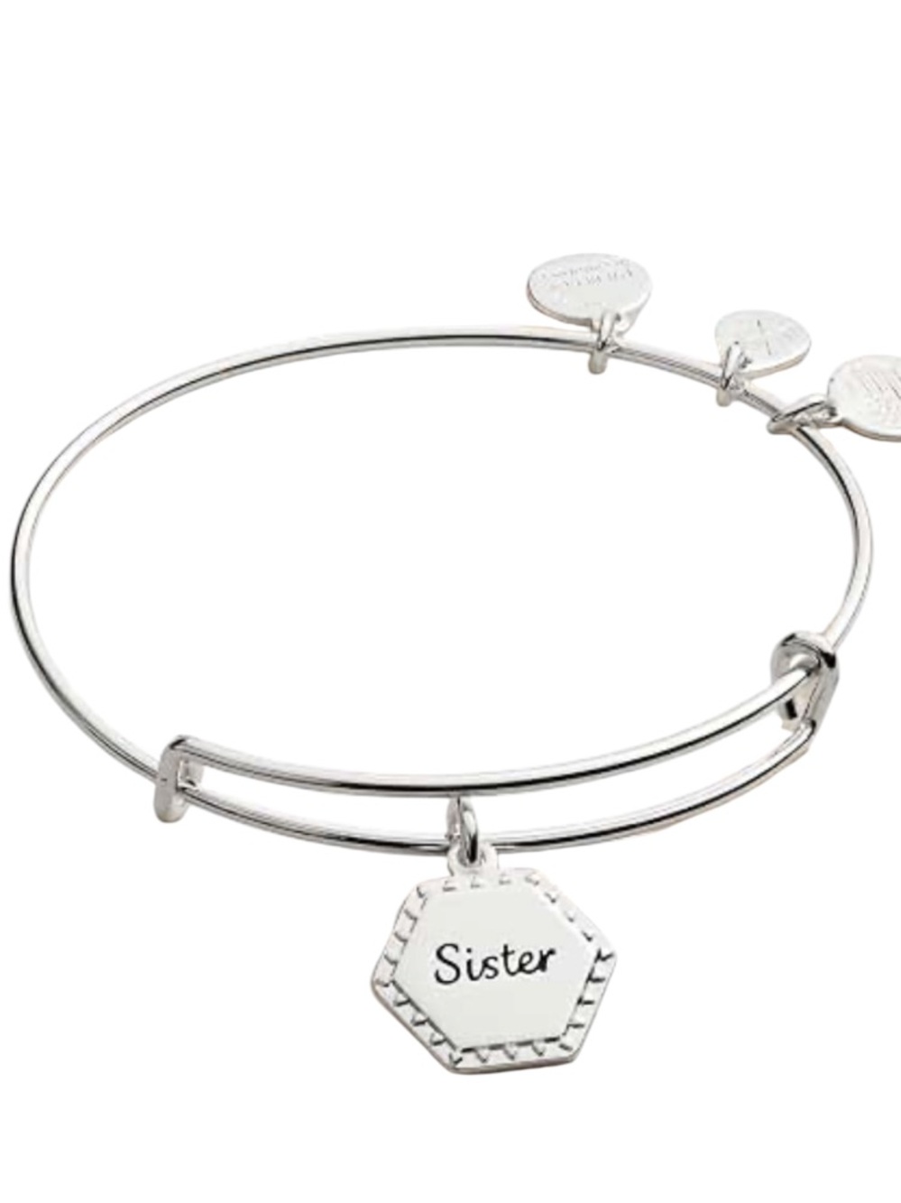 Alex and Ani Sister Because I Love You silver charm bracelet OS